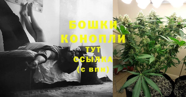 2c-b Костерёво