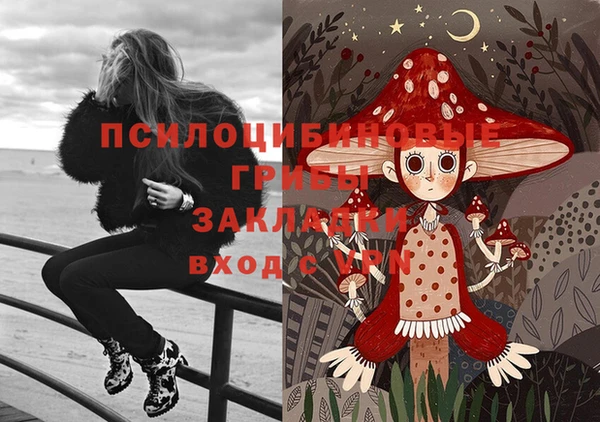 тгк Коряжма