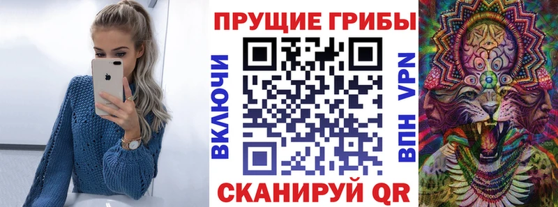 Купить где  Болотное  Галлюциногенные грибы MAGIC MUSHROOMS 