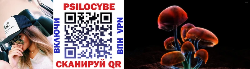 Псилоцибиновые грибы прущие грибы Болотное